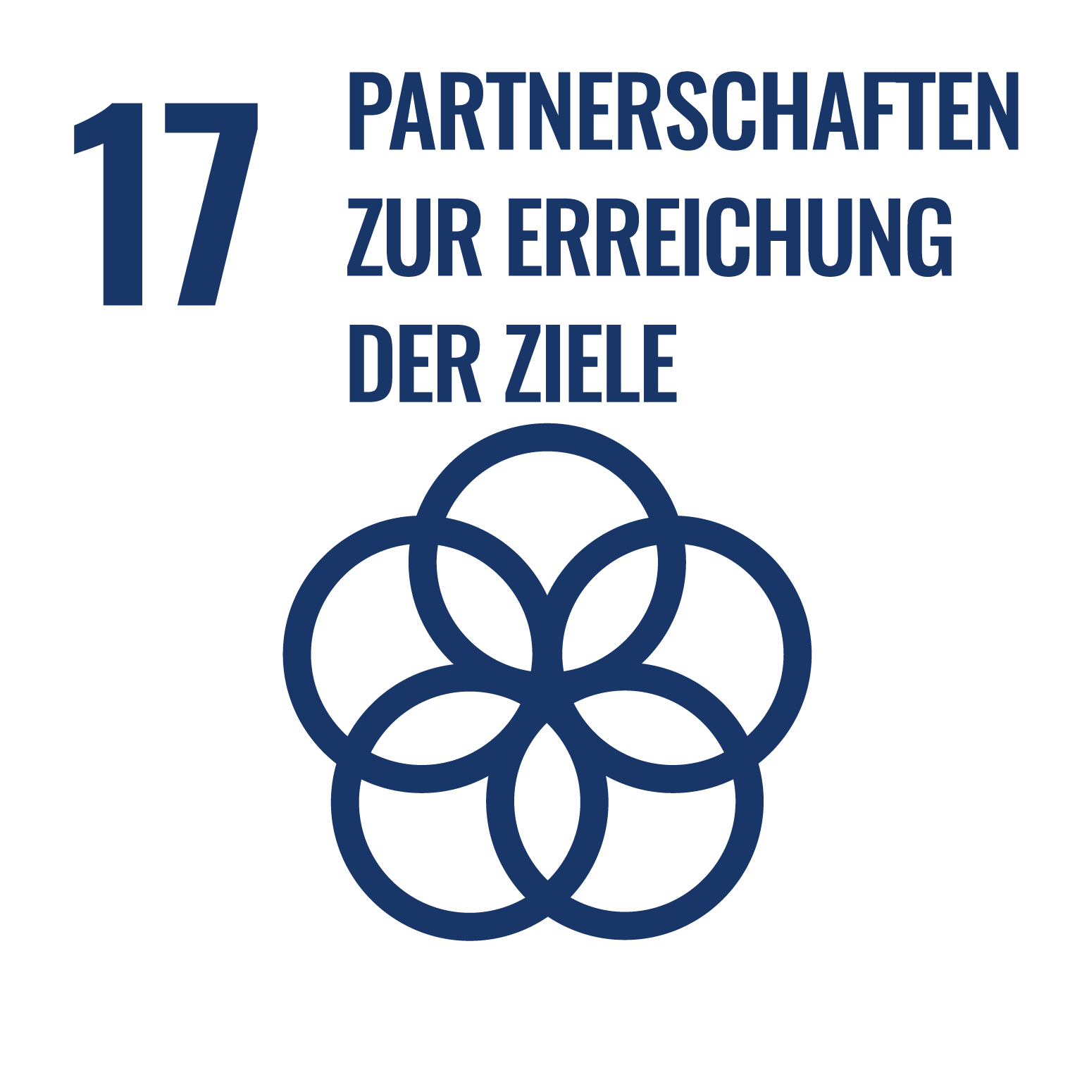 Sustainable Development Goal - 17 - Partnerschaft zur Erreichung der Ziele